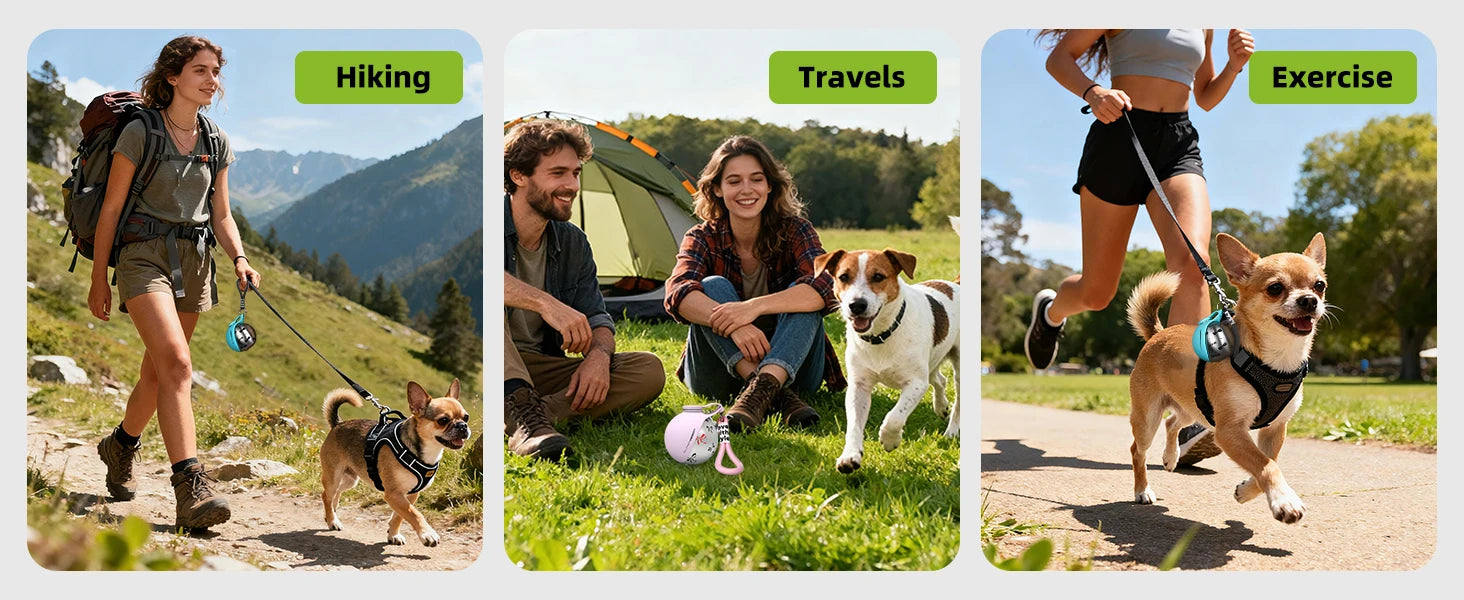 Botella de Agua Portátil 2 en 1 para Perros Pequeños — Acero Inoxidable y Silicona | Antigoteo