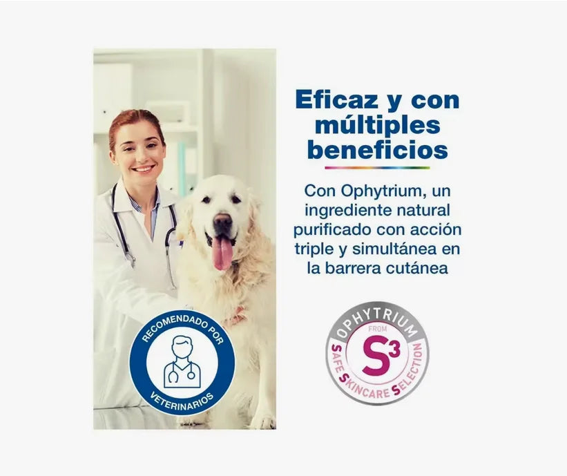 Douxo S3 Calm - Champú, Mousse y Toallitas Calmantes para Perros y Gatos con Piel Sensible