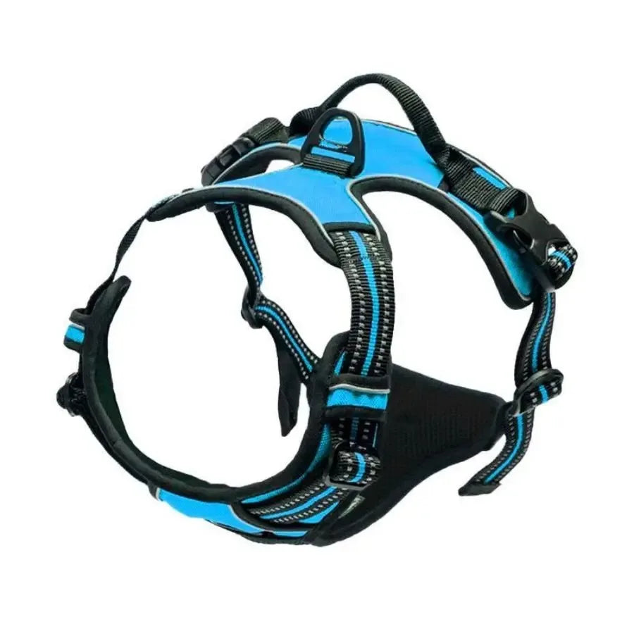 Arnés Chaleco para Perros - Cómodo, Ajustable y Colorido | Tallas S a XL