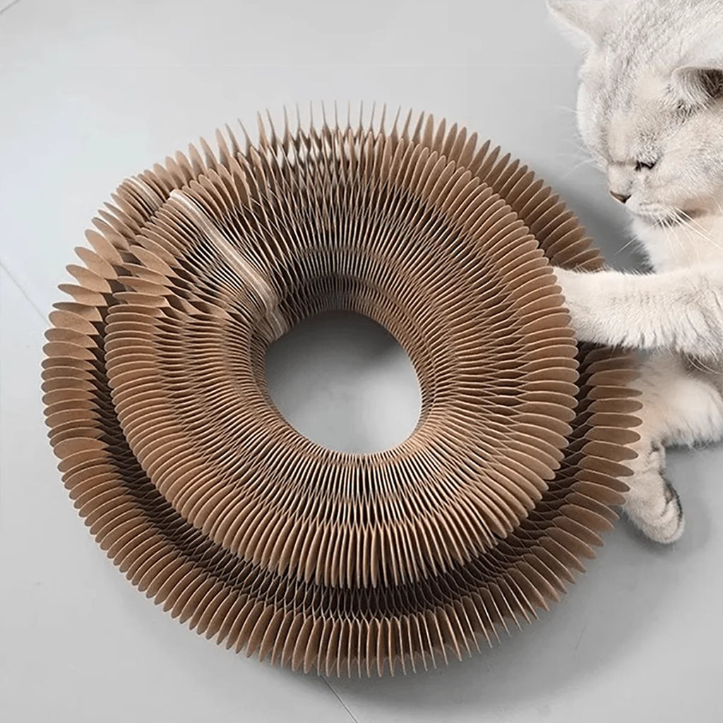 Rascador de Cartón Plegable para Gatos — Tipo Acordeón con Campana y Catnip | Multinivel