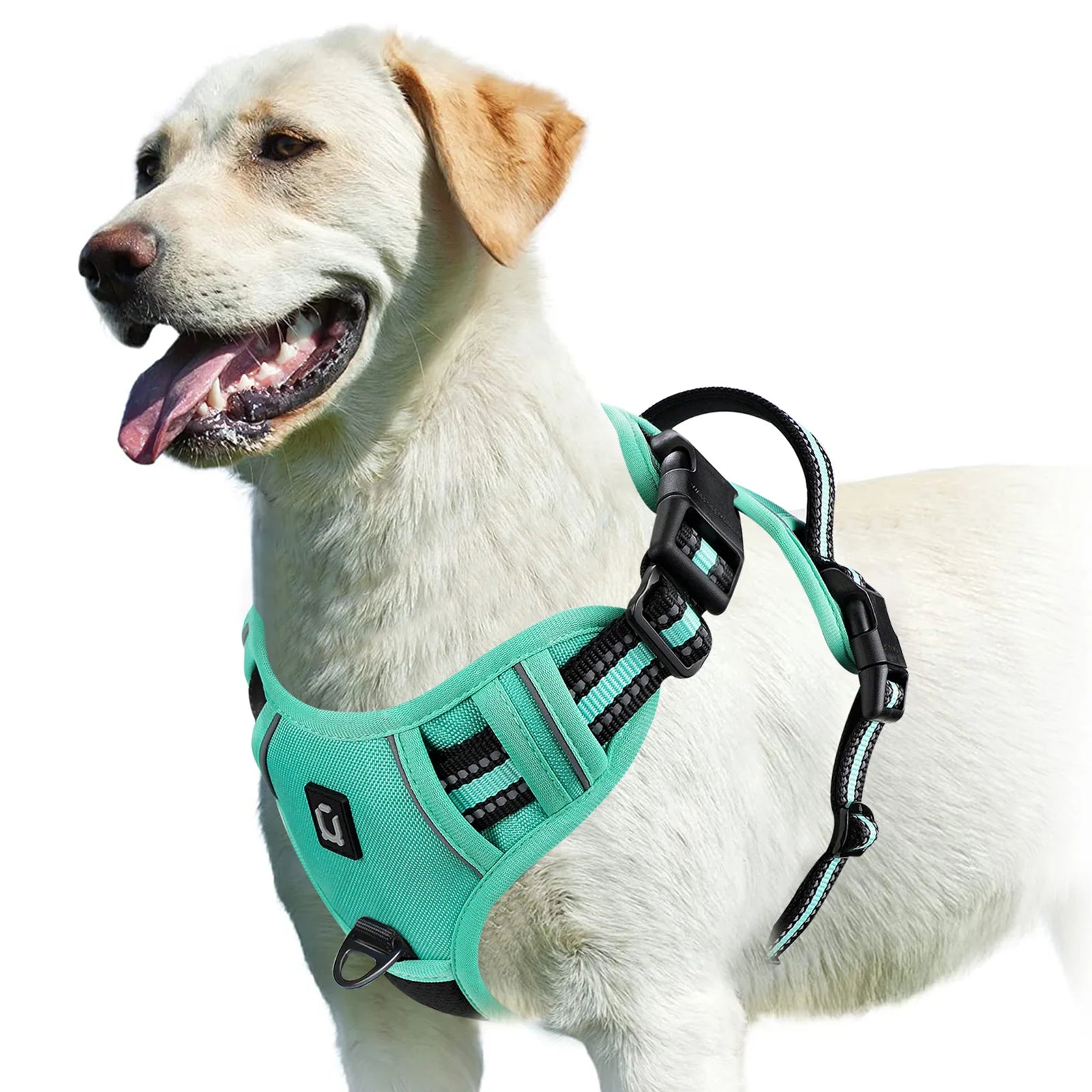 Arnés Antitirones para Perros, Chaleco Acolchado Ajustable con Asa de Control Fácil