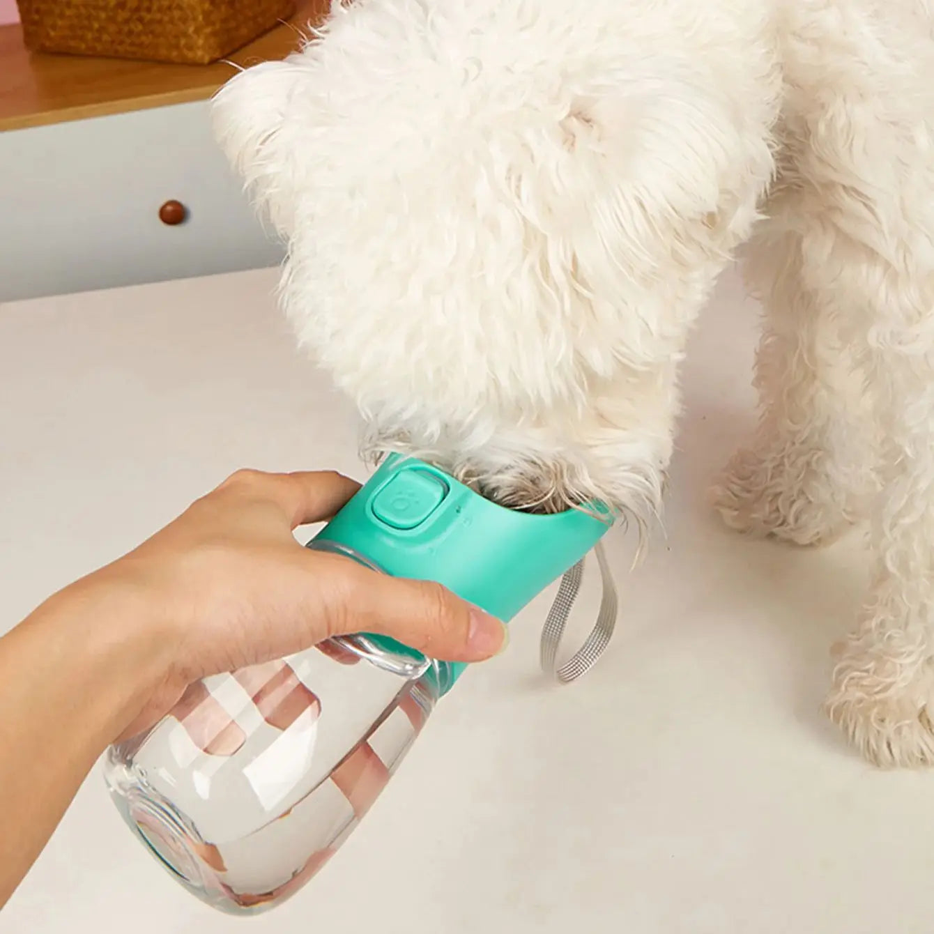 Bebedero Portátil para Perros y Gatos - Antigoteo, con Cordón, para Paseos y Viajes