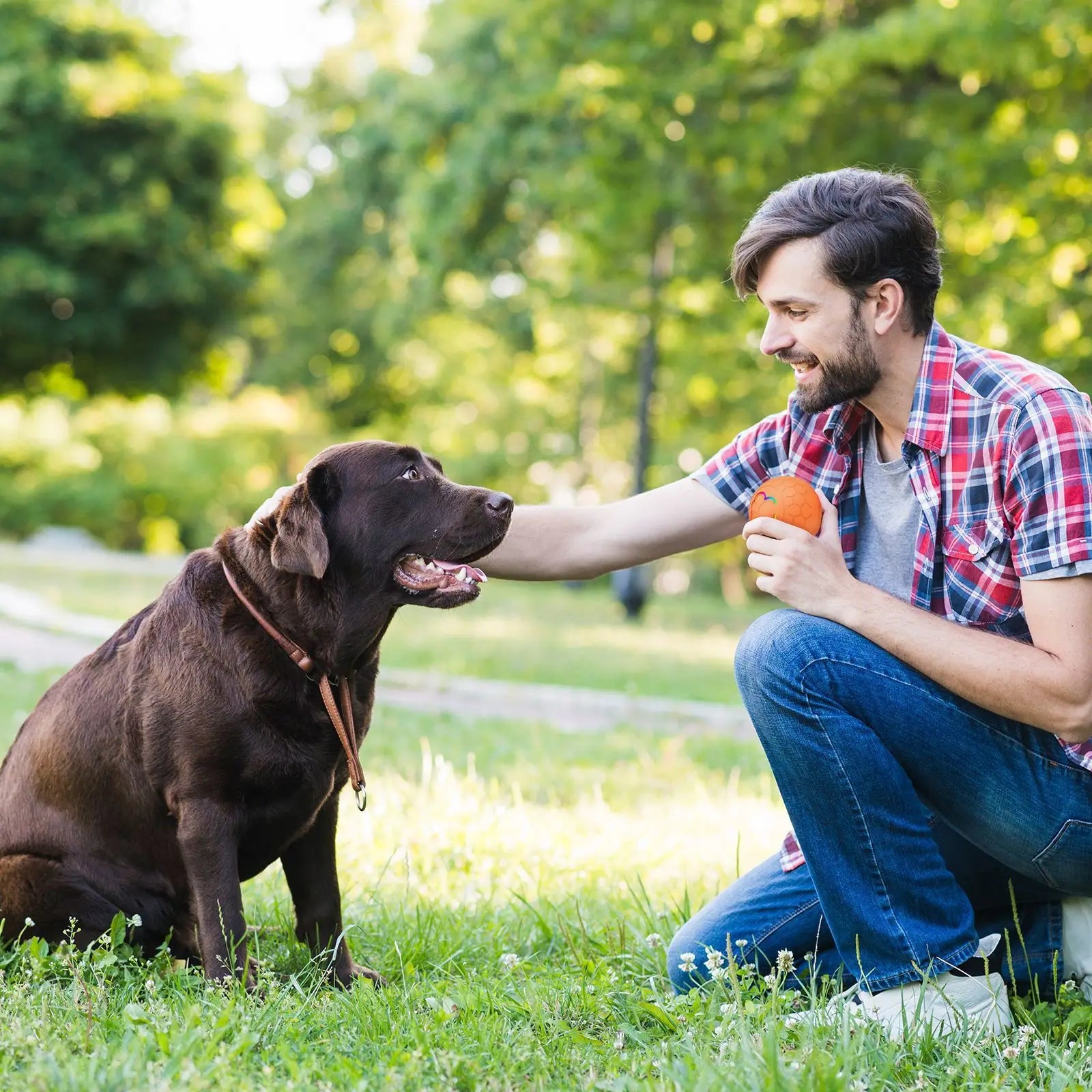 Pelota Inteligente Interactiva para Perros y Gatos - Electrónica, Automática, con Luces RGB y Carga USB