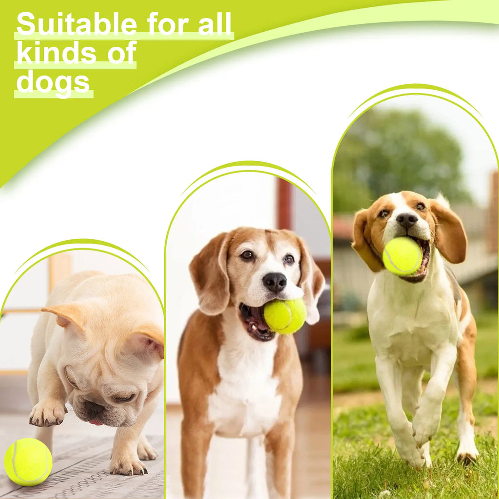 Lanzador Automático de Pelotas para Perros con 3 Pelotas de Tenis