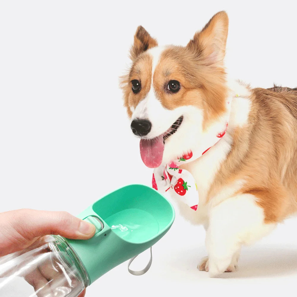 Bebedero Portátil para Perros y Gatos - Antigoteo, con Cordón, para Paseos y Viajes