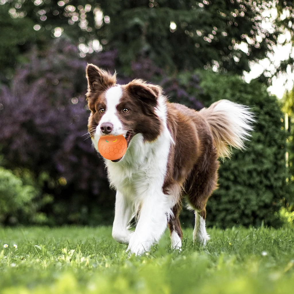 Pelota Inteligente Interactiva para Perros y Gatos - Electrónica, Automática, con Luces RGB y Carga USB