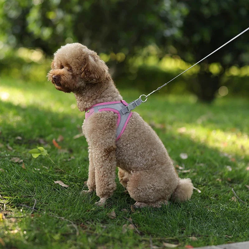 Arnés Ajustable con Correa para Perros y Gatos Pequeños — Reflectante y Transpirable | 7 Colores