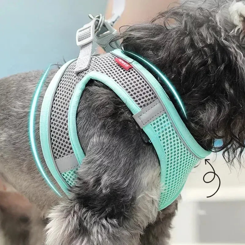 Arnés Ajustable con Correa para Perros y Gatos Pequeños — Reflectante y Transpirable | 7 Colores
