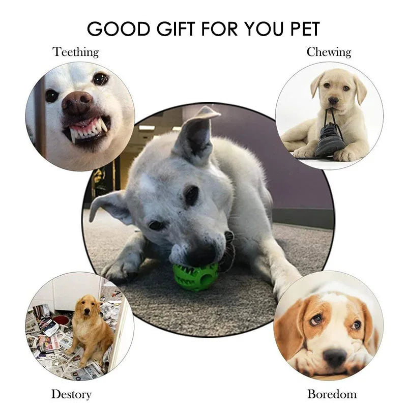 Pelota Interactiva de Goma para Perros - Juguete Mordedor, Limpieza Dental y Dispensador de Snacks