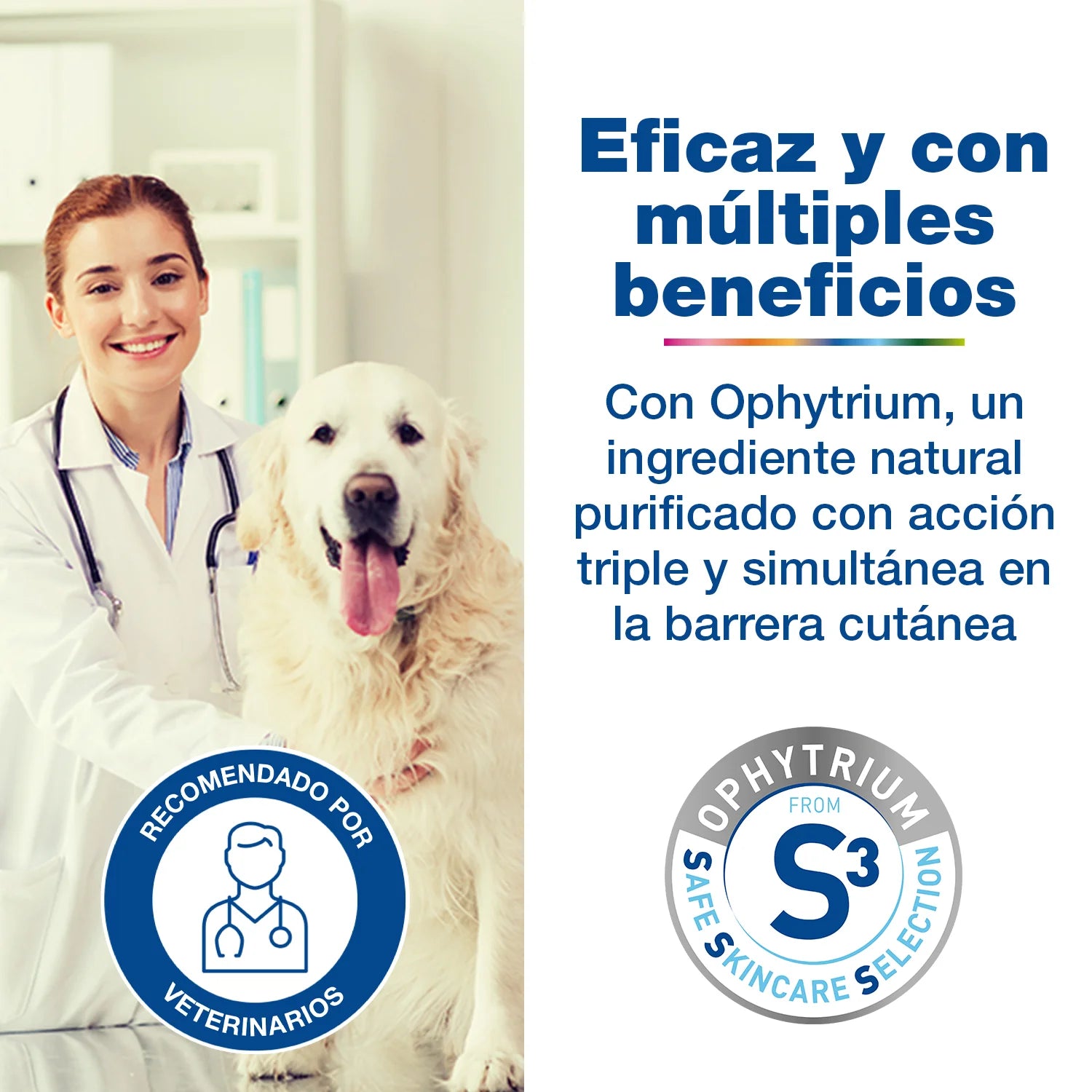 Douxo S3 Care - Champú Hidratante para Perros y Gatos 200 ml