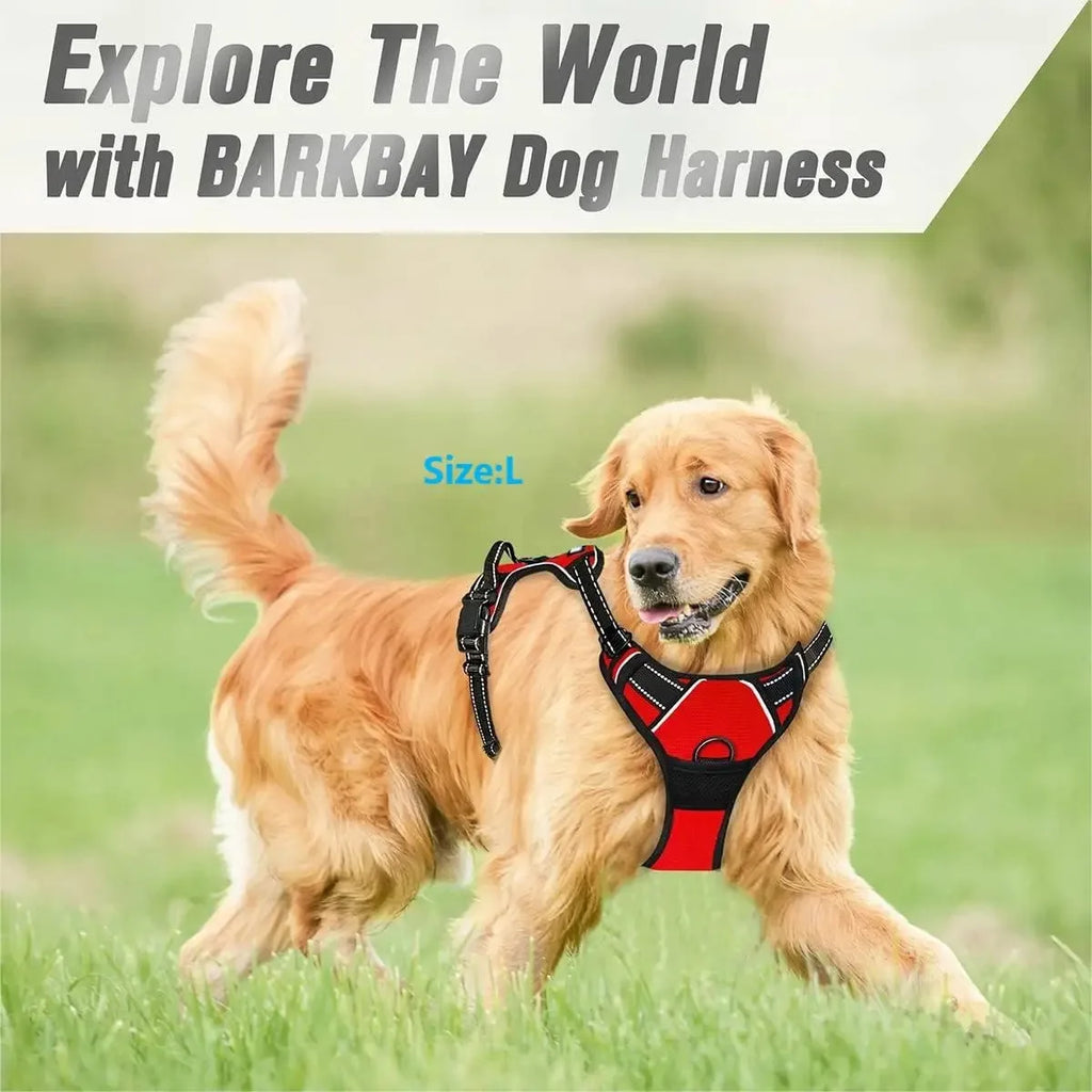 Arnés Chaleco para Perros - Cómodo, Ajustable y Colorido | Tallas S a XL