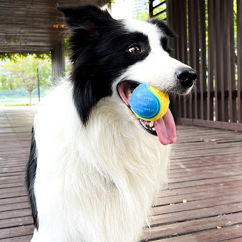 Pelota Interactiva para Perros - Juguete TPR Resistente con Sonido