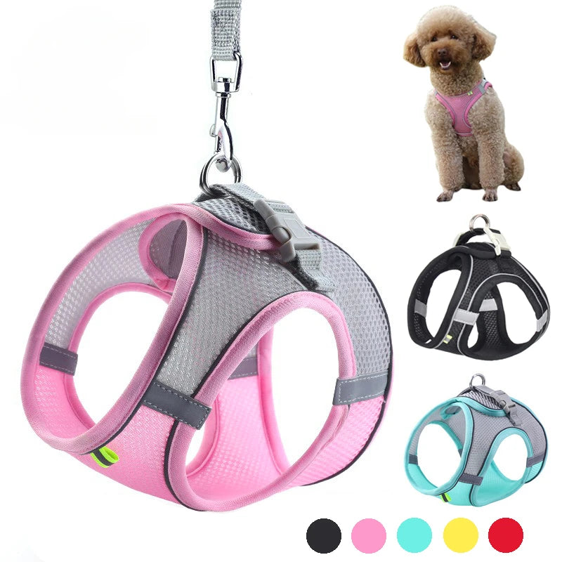 Arnés Ajustable con Correa para Perros y Gatos Pequeños — Reflectante y Transpirable | 7 Colores