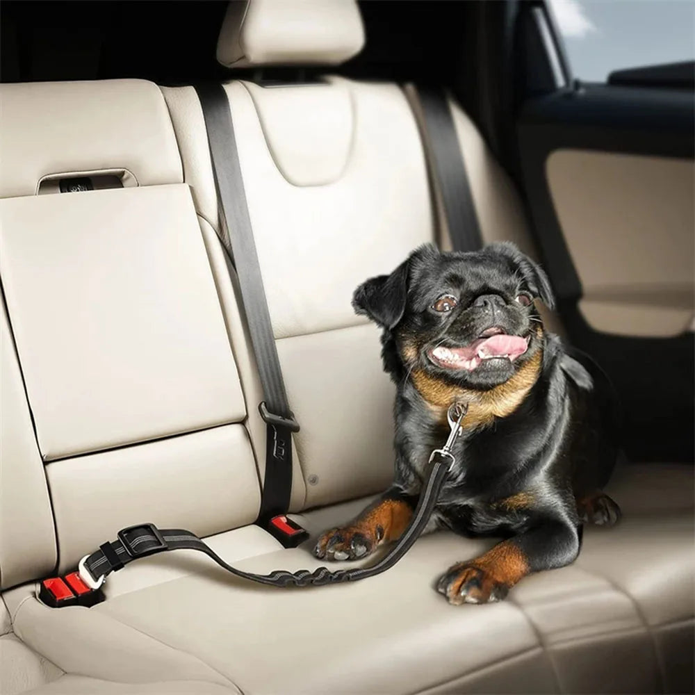 Cinturón de Seguridad Ajustable para Perros en el Coche — Nylon Reflectante y Elástico | 21 Colores