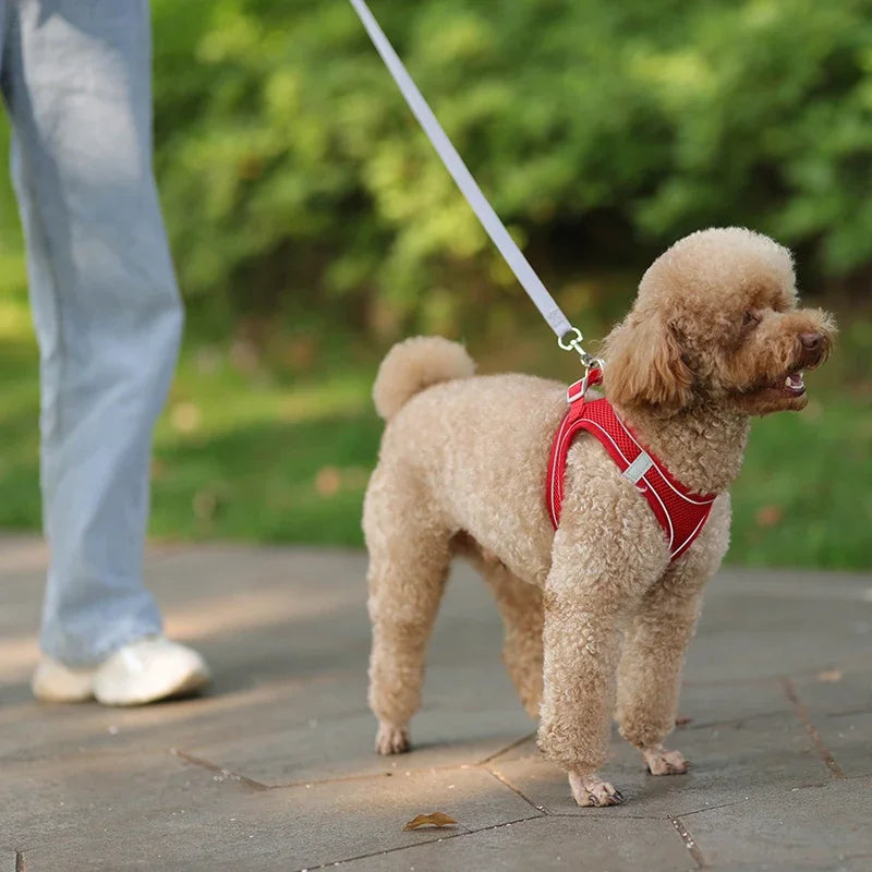 Arnés Ajustable con Correa para Perros y Gatos Pequeños — Reflectante y Transpirable | 7 Colores