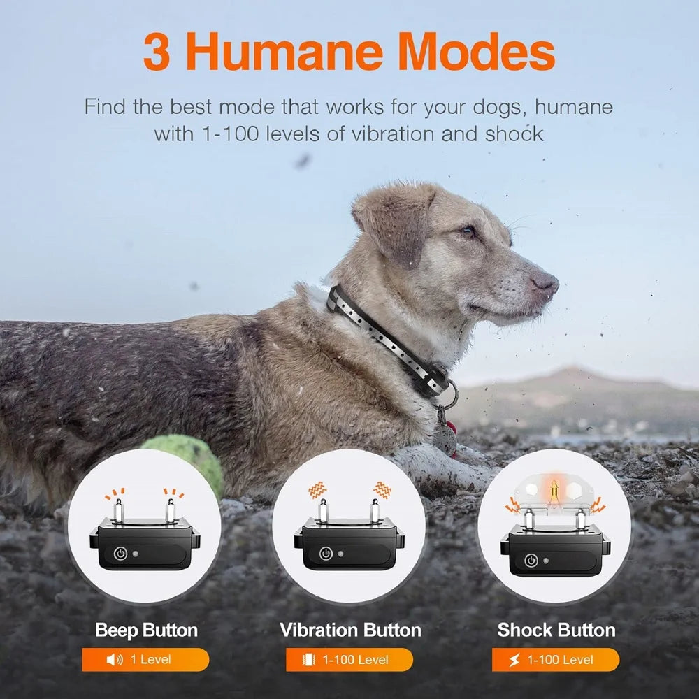 Collar de Adiestramiento para Perros 1000 m – Antiladridos, Impermeable y Recargable con Mando a Distancia | PaiPaitek PD529-1