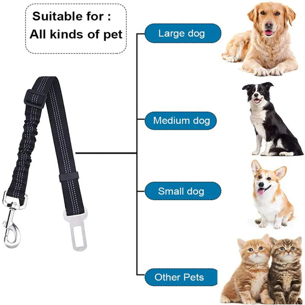 Cinturón de Seguridad Ajustable para Perros en el Coche — Nylon Reflectante y Elástico | 21 Colores