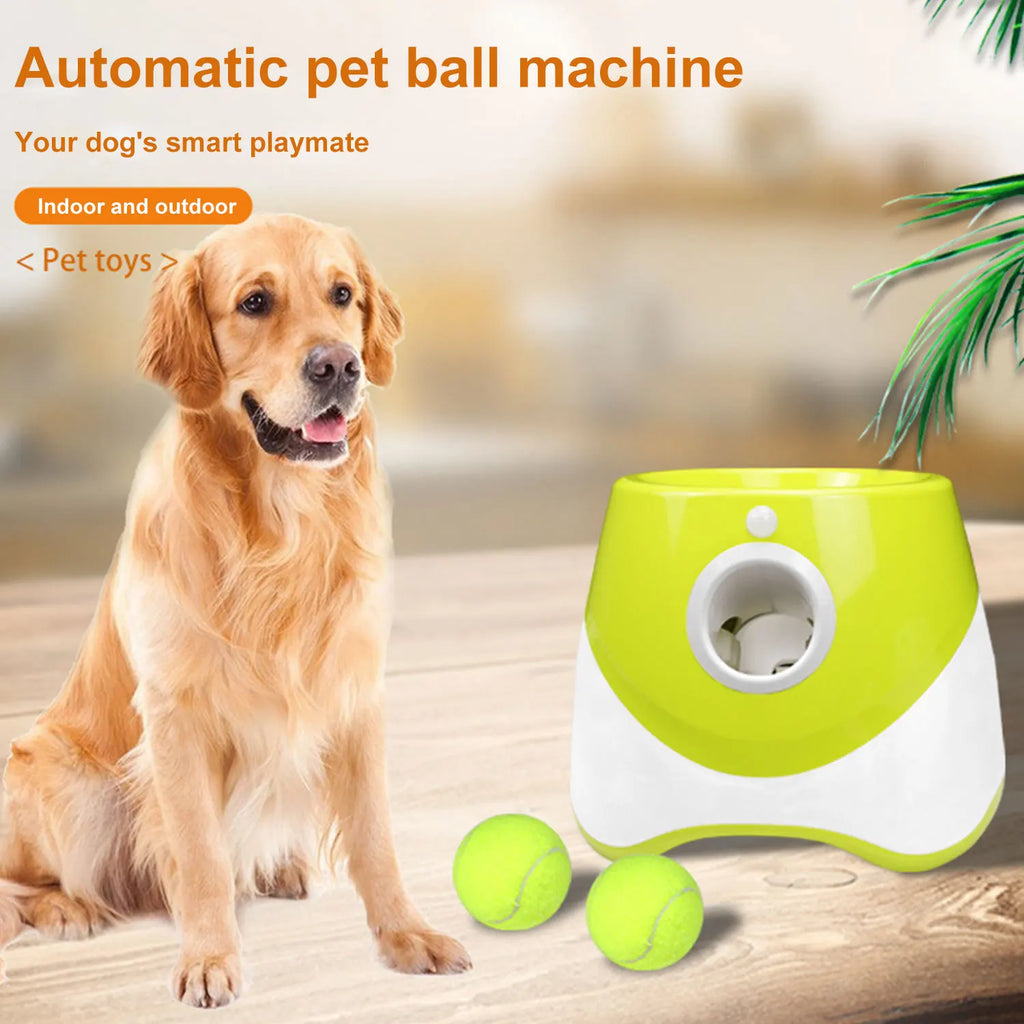 Lanzador Automático de Pelotas para Perros con 3 Pelotas de Tenis