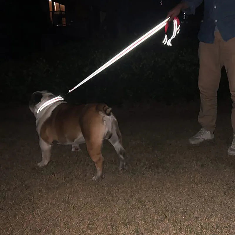 Correa Reflectante de Paseo para Perros y Gatos — Noche Segura | 12 Colores y 4 Tamaños