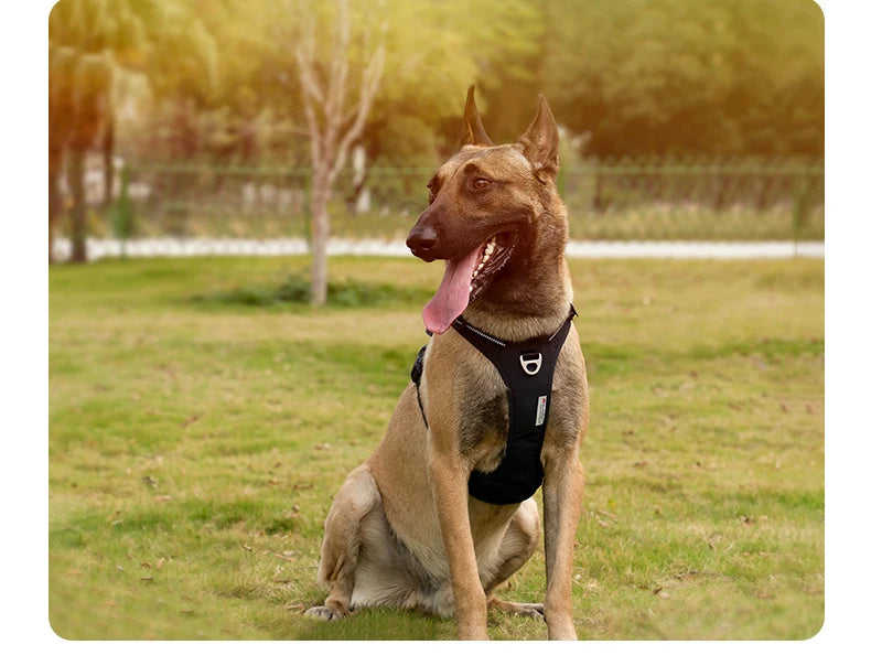 Arnés para Perros Truelove TLH5654 - Sin Tirones, Reflectante, Ajustable y Cómodo