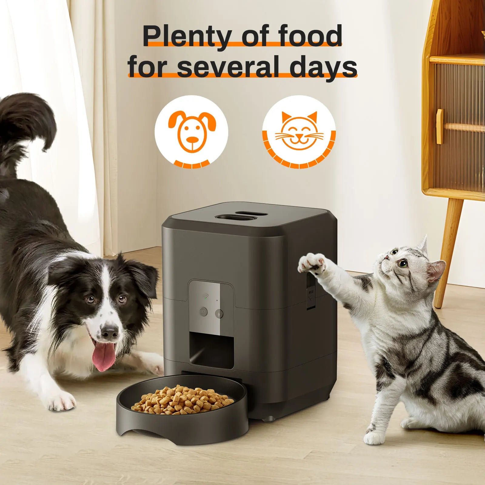 Comedero Automático Inteligente para Gatos y Perros — Con Temporizador y WiFi | 2L