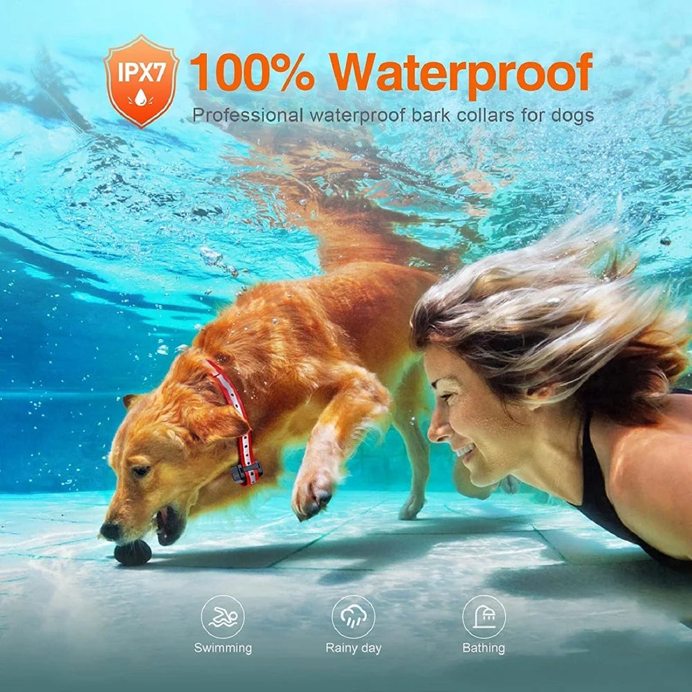 Collar de Adiestramiento para Perros 1000 m – Antiladridos, Impermeable y Recargable con Mando a Distancia | PaiPaitek PD529-1