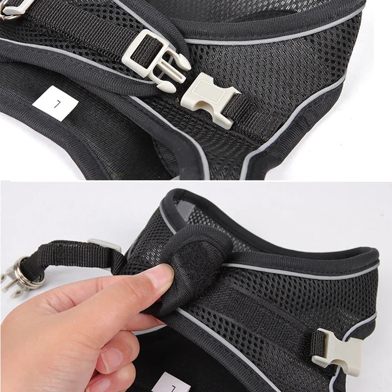 Arnés Ajustable con Correa para Perros y Gatos Pequeños — Reflectante y Transpirable | 7 Colores