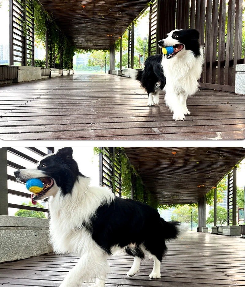 Pelota Interactiva para Perros - Juguete TPR Resistente con Sonido