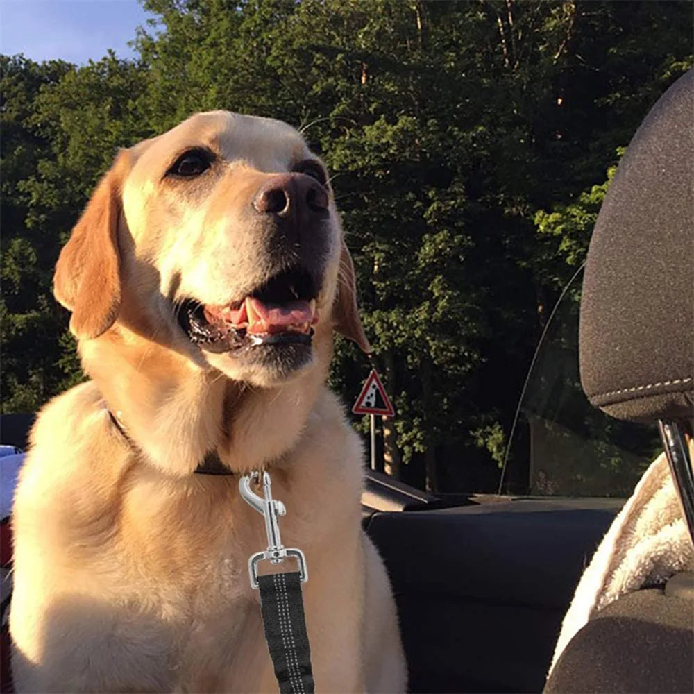 Cinturón de Seguridad Ajustable para Perros en el Coche — Nylon Reflectante y Elástico | 21 Colores