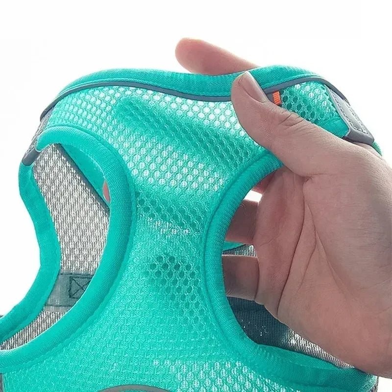 Arnés Ajustable con Correa para Perros y Gatos Pequeños — Reflectante y Transpirable | 7 Colores