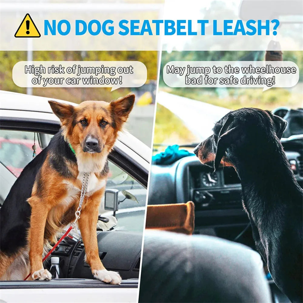 Cinturón de Seguridad Ajustable para Perros en el Coche — Nylon Reflectante y Elástico | 21 Colores