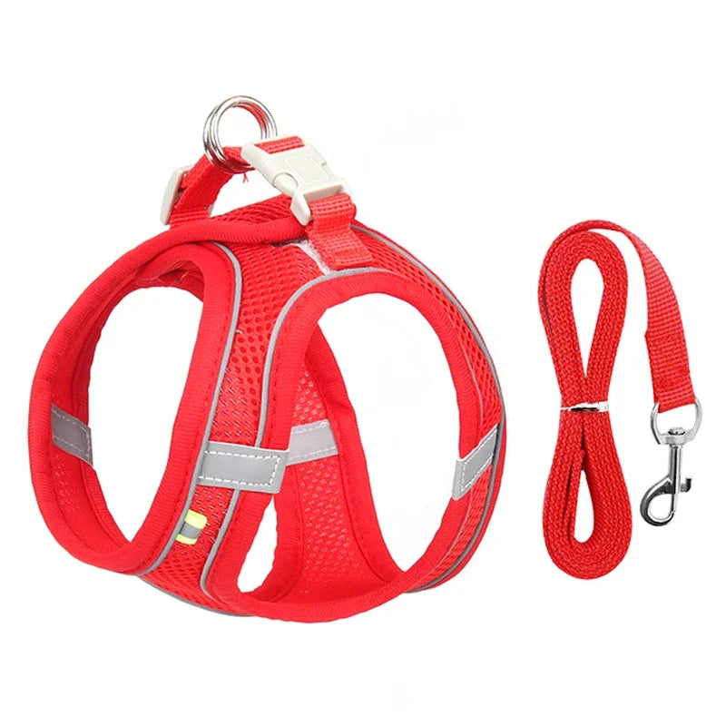 Arnés Ajustable con Correa para Perros y Gatos Pequeños — Reflectante y Transpirable | 7 Colores