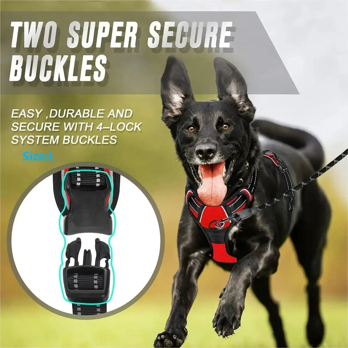 Arnés Chaleco para Perros - Cómodo, Ajustable y Colorido | Tallas S a XL