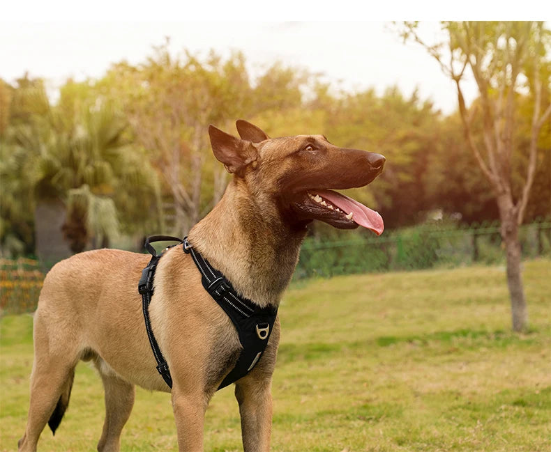 Arnés para Perros Truelove TLH5654 - Sin Tirones, Reflectante, Ajustable y Cómodo