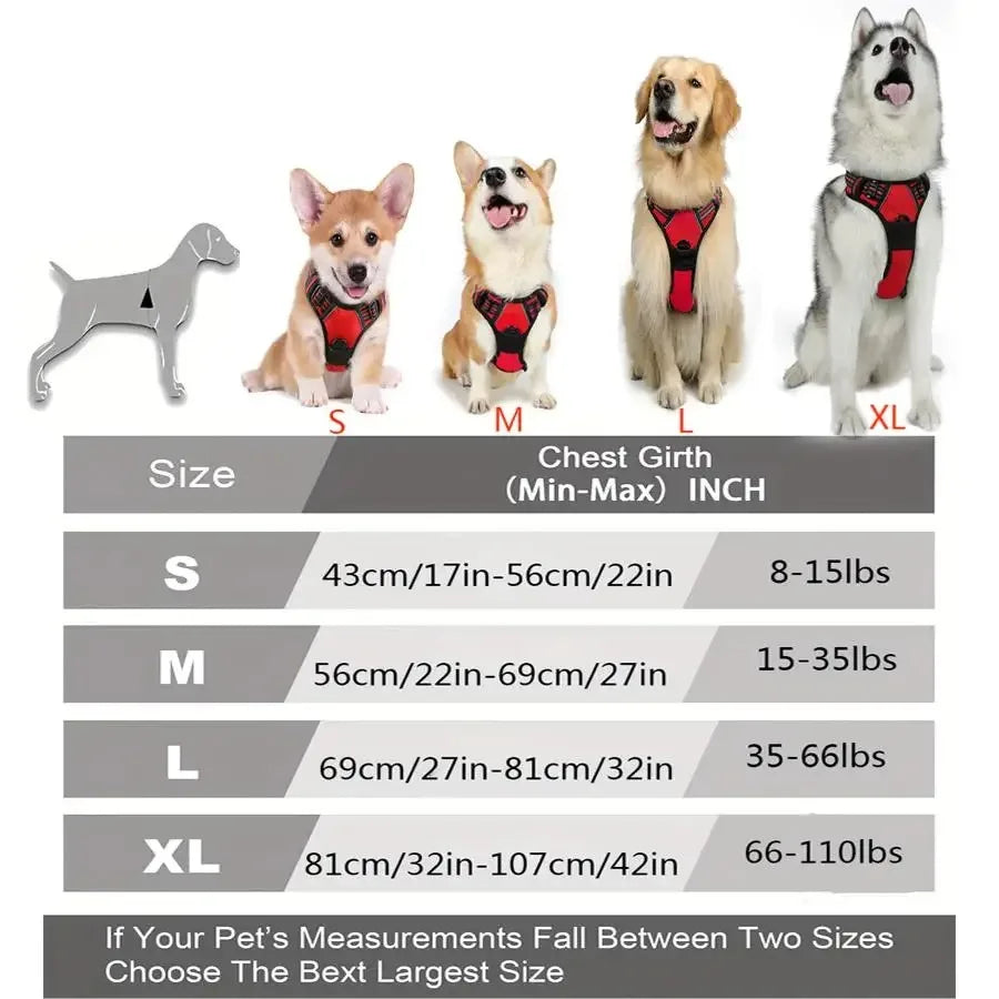 Arnés Chaleco para Perros - Cómodo, Ajustable y Colorido | Tallas S a XL