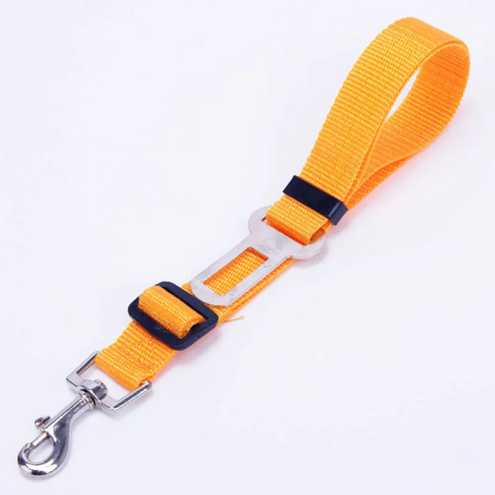 Cinturón de Seguridad Ajustable para Perros en el Coche — Nylon Reflectante y Elástico | 21 Colores