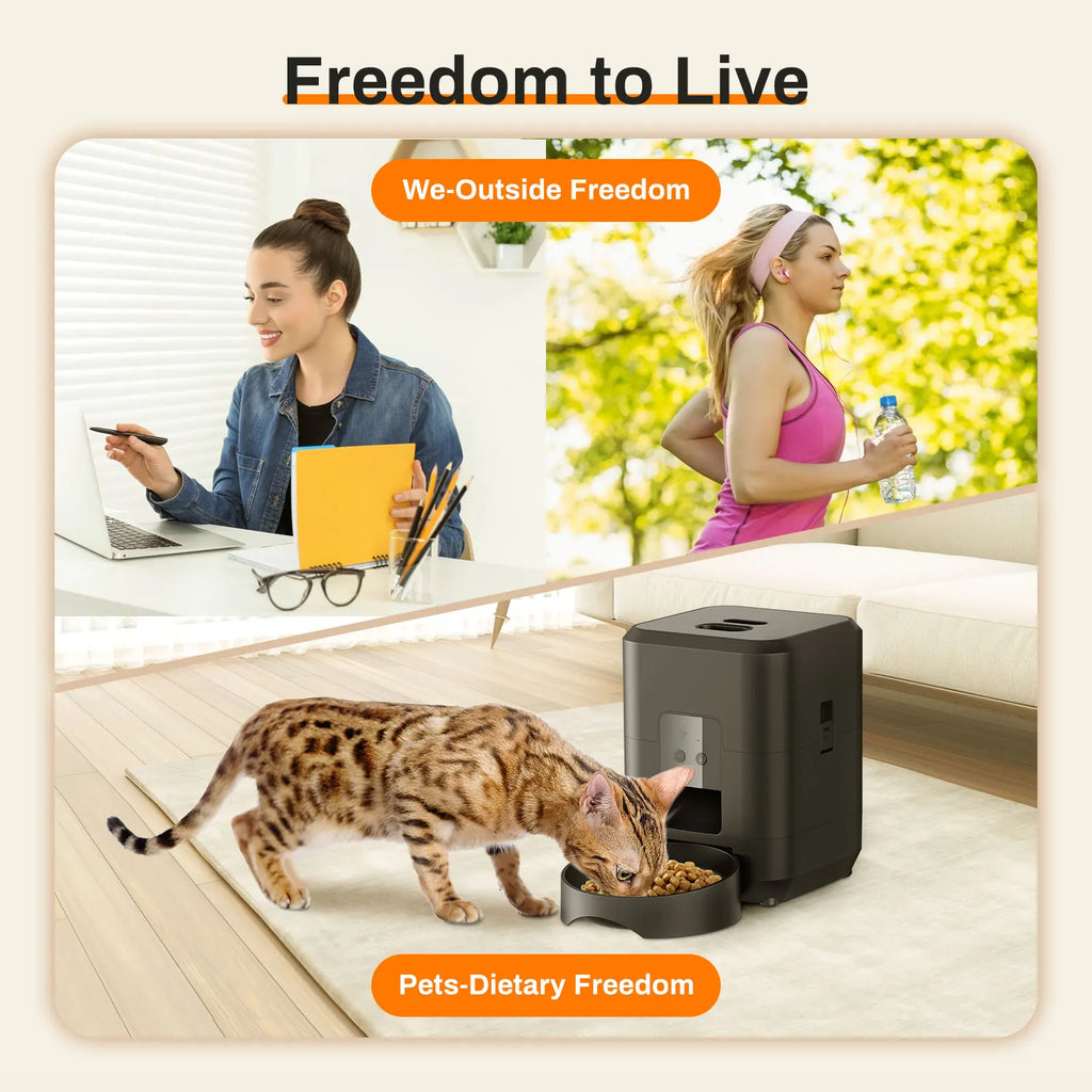 Comedero Automático Inteligente para Gatos y Perros — Con Temporizador y WiFi | 2L