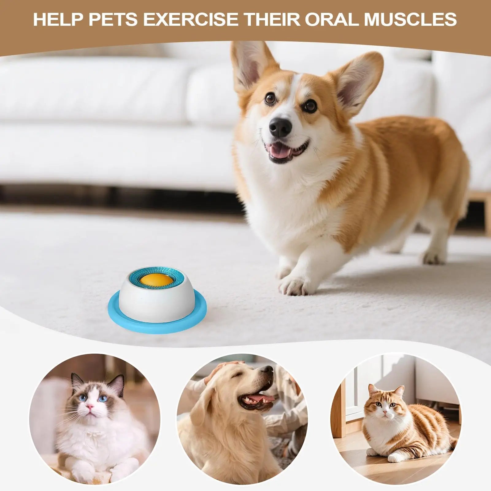 Comedero Lento Interactivo para Perros y Gatos - Juguete Lamer Antiengullimiento