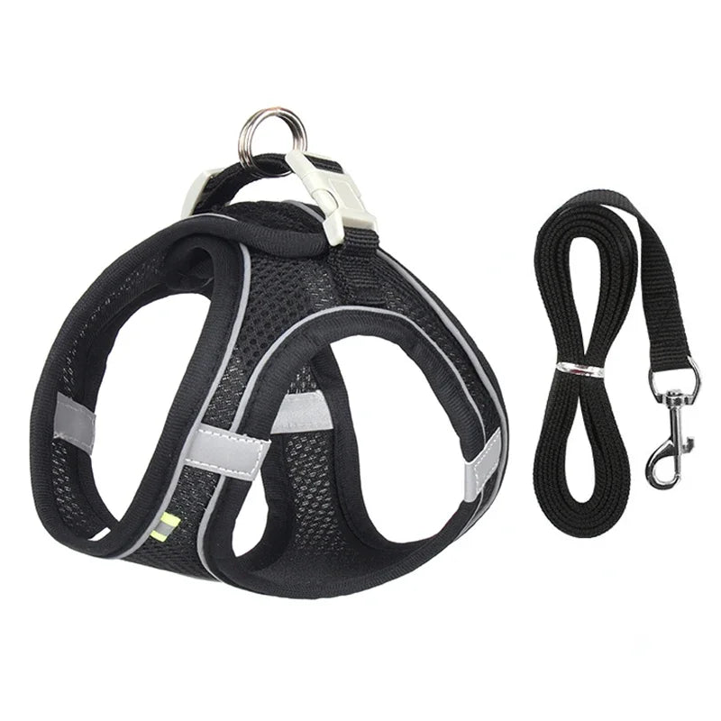 Arnés Ajustable con Correa para Perros y Gatos Pequeños — Reflectante y Transpirable | 7 Colores