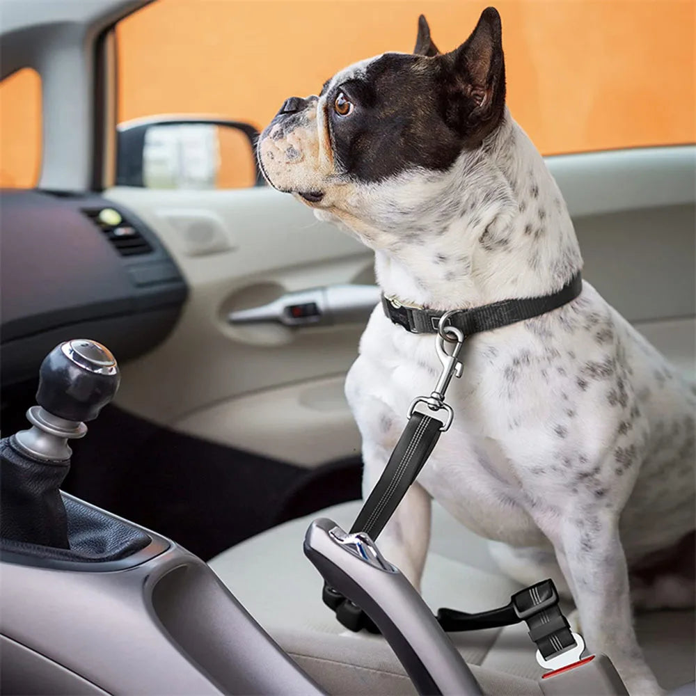 Cinturón de Seguridad Ajustable para Perros en el Coche — Nylon Reflectante y Elástico | 21 Colores