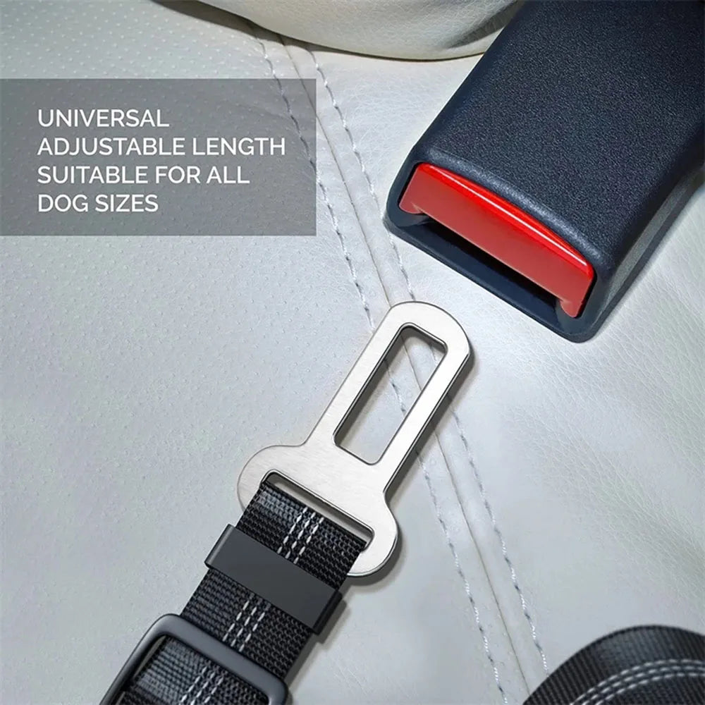 Cinturón de Seguridad Ajustable para Perros en el Coche — Nylon Reflectante y Elástico | 21 Colores