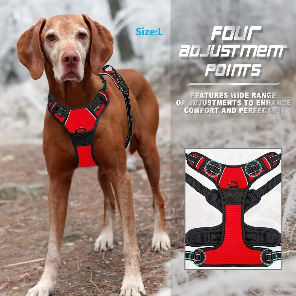 Arnés Chaleco para Perros - Cómodo, Ajustable y Colorido | Tallas S a XL