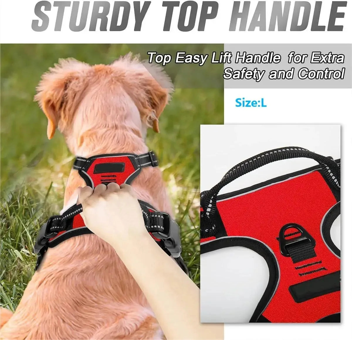 Arnés Chaleco para Perros - Cómodo, Ajustable y Colorido | Tallas S a XL
