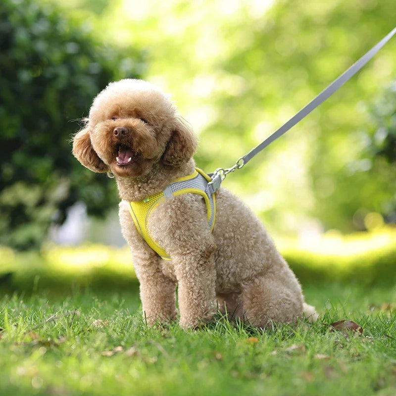 Arnés Ajustable con Correa para Perros y Gatos Pequeños — Reflectante y Transpirable | 7 Colores