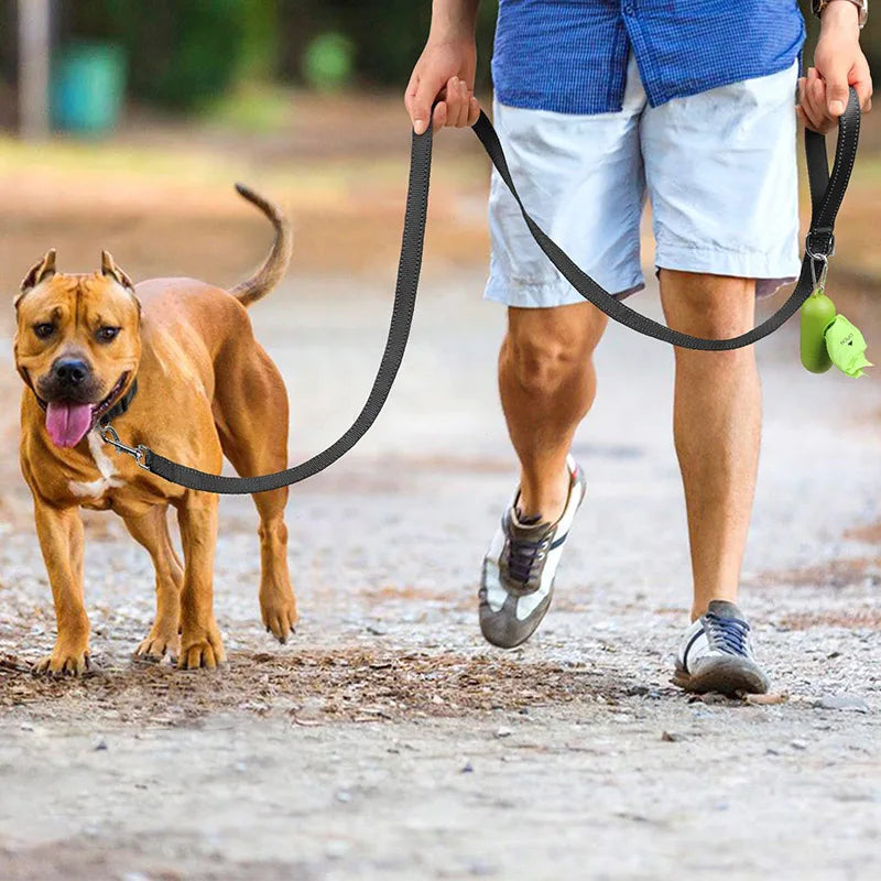 Correa Reflectante de Paseo para Perros y Gatos — Noche Segura | 12 Colores y 4 Tamaños